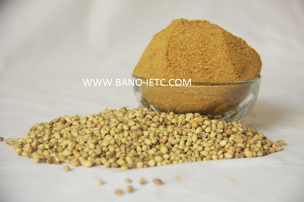 Coriander Powder